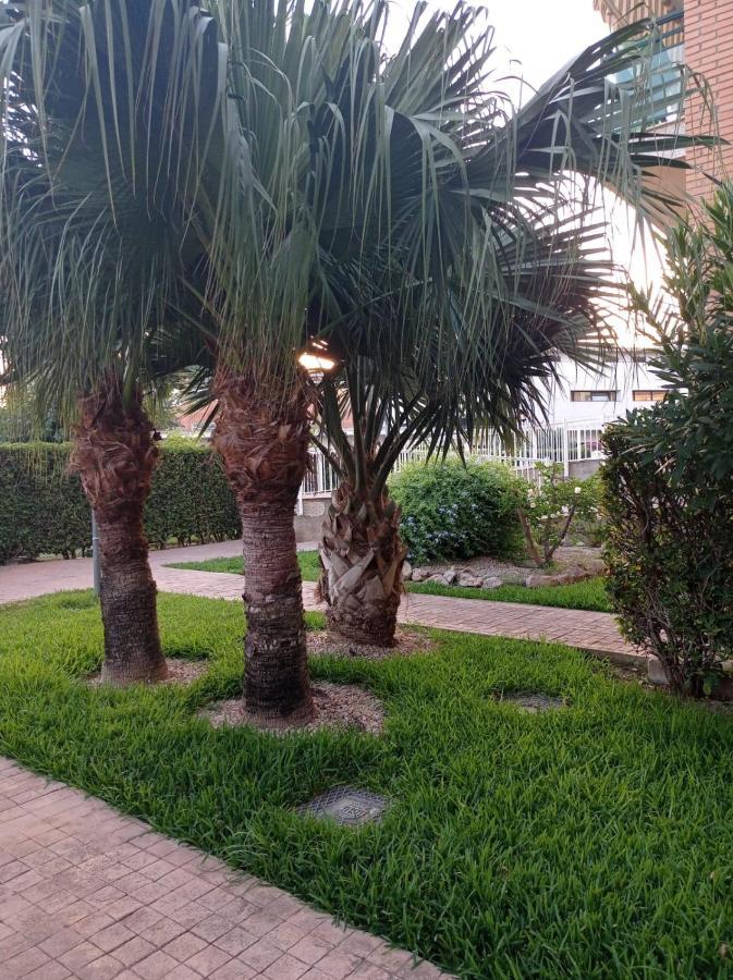 Apartamento Pilar Solo Familias Gandía Exteriör bild